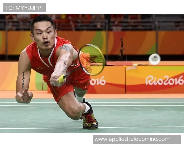 武汉羽毛球队技术分析与表现评估探讨及未来发展方向研究