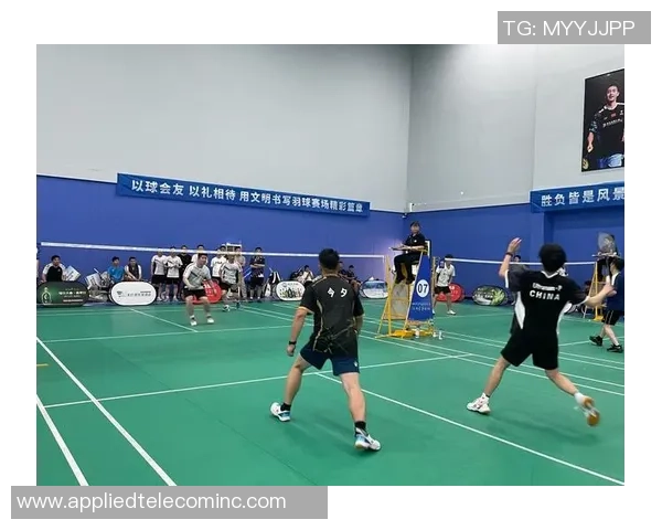 深入分析杭州羽毛球队区域防守战术及其在比赛中的应用效果